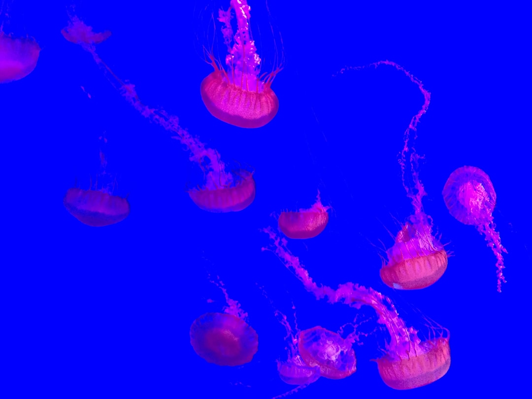 Photo Jellyfish Floor Lamp