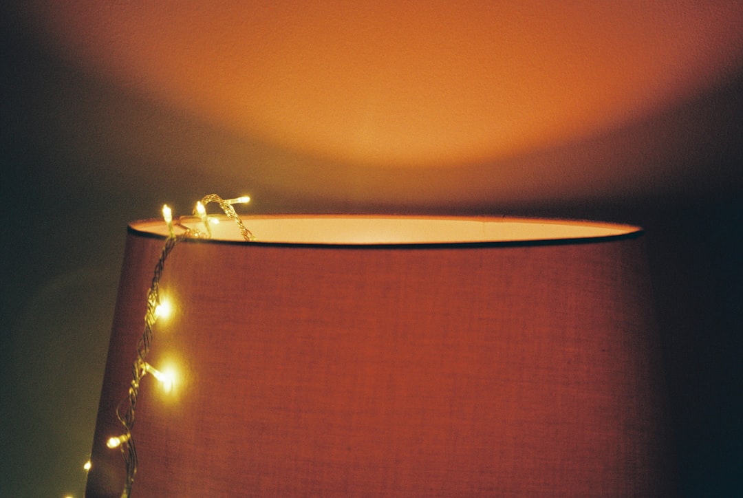 Photo floor lamp